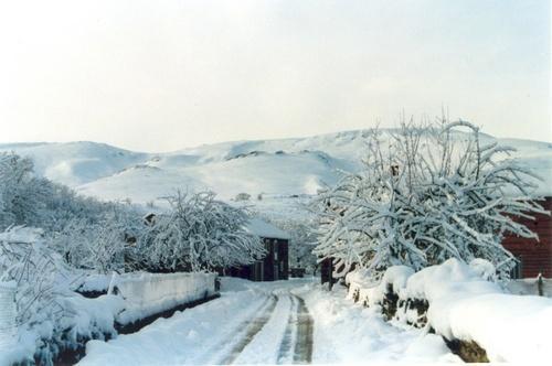 Country house La Casa De Rosa